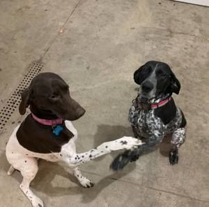 Meet your Posher, Rick